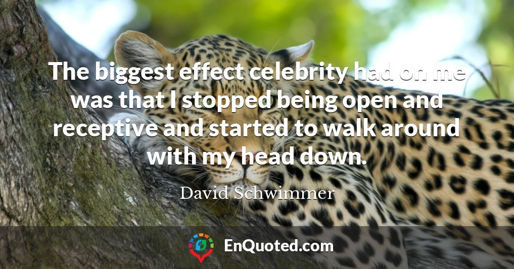 The biggest effect celebrity had on me was that I stopped being open and receptive and started to walk around with my head down.