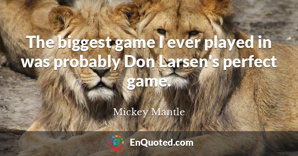 The biggest game I ever played in was probably Don Larsen's perfect game.