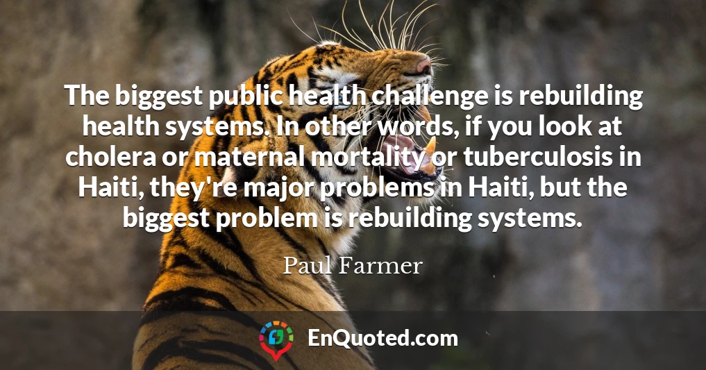 The biggest public health challenge is rebuilding health systems. In other words, if you look at cholera or maternal mortality or tuberculosis in Haiti, they're major problems in Haiti, but the biggest problem is rebuilding systems.