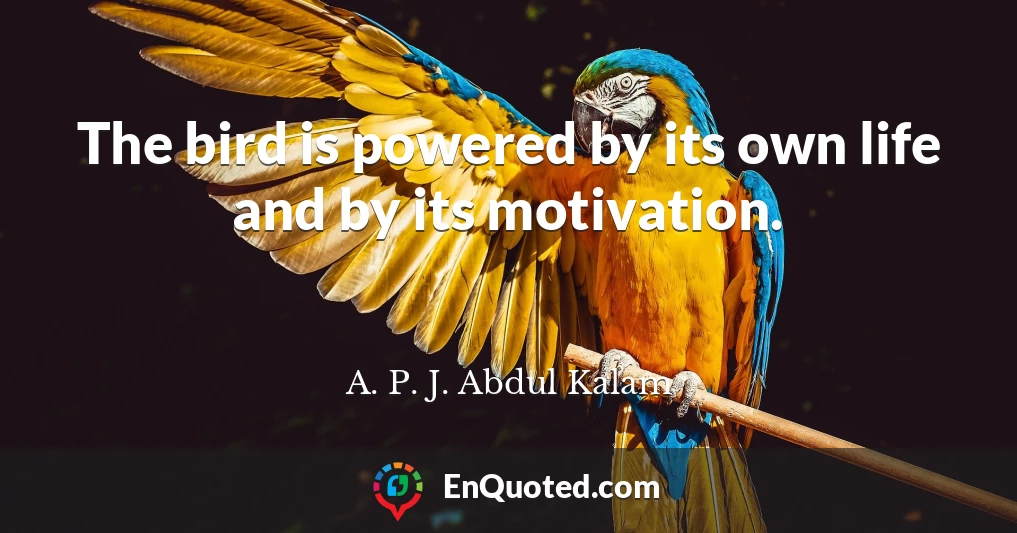 The bird is powered by its own life and by its motivation.