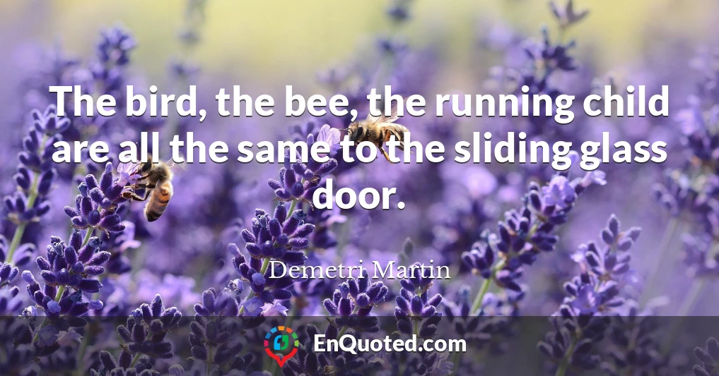 The bird, the bee, the running child are all the same to the sliding glass door.