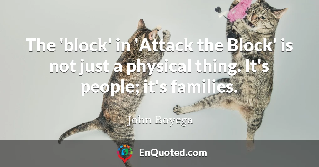 The 'block' in 'Attack the Block' is not just a physical thing. It's people; it's families.