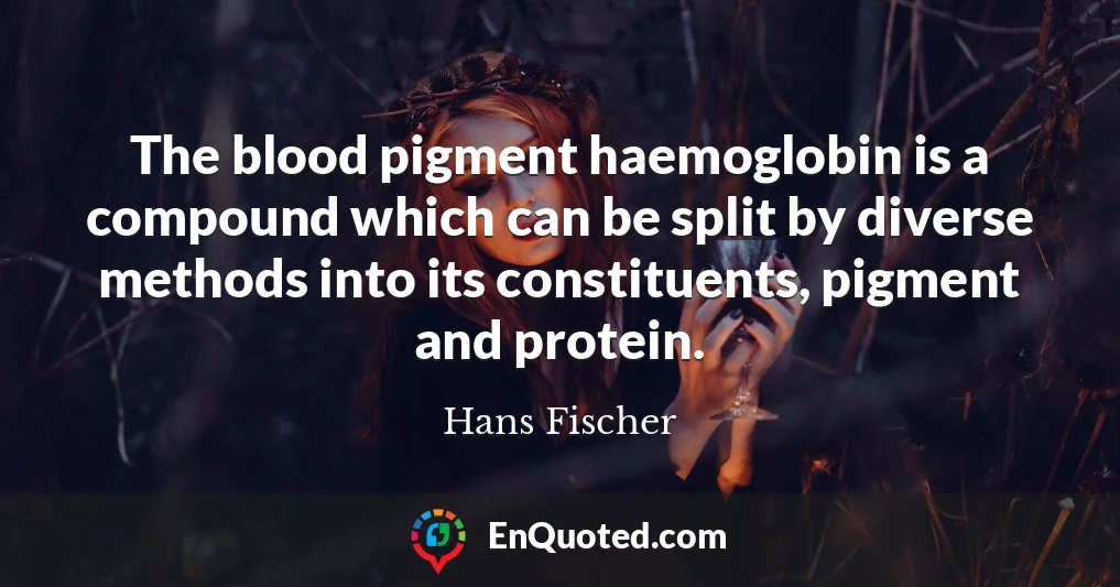 The blood pigment haemoglobin is a compound which can be split by diverse methods into its constituents, pigment and protein.