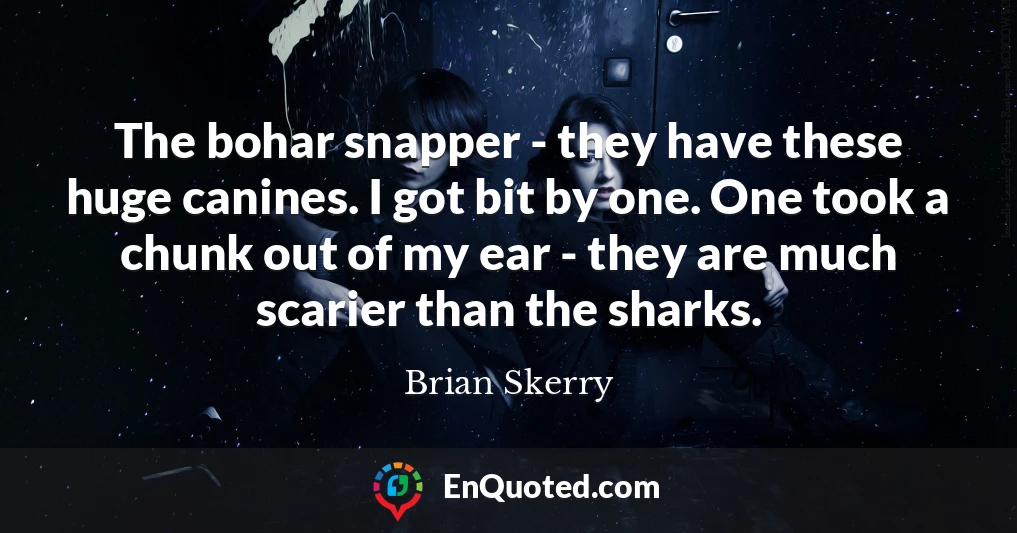 The bohar snapper - they have these huge canines. I got bit by one. One took a chunk out of my ear - they are much scarier than the sharks.