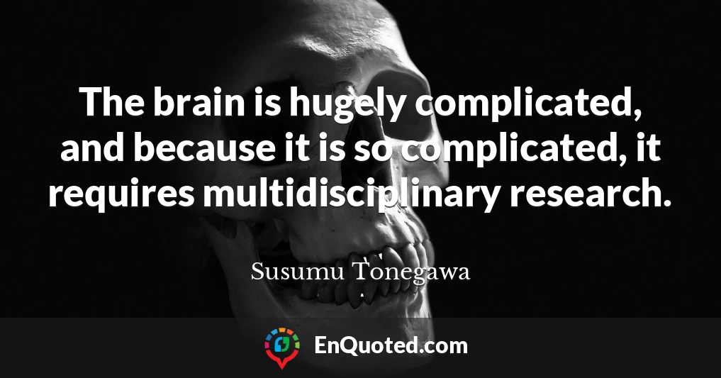 The brain is hugely complicated, and because it is so complicated, it requires multidisciplinary research.