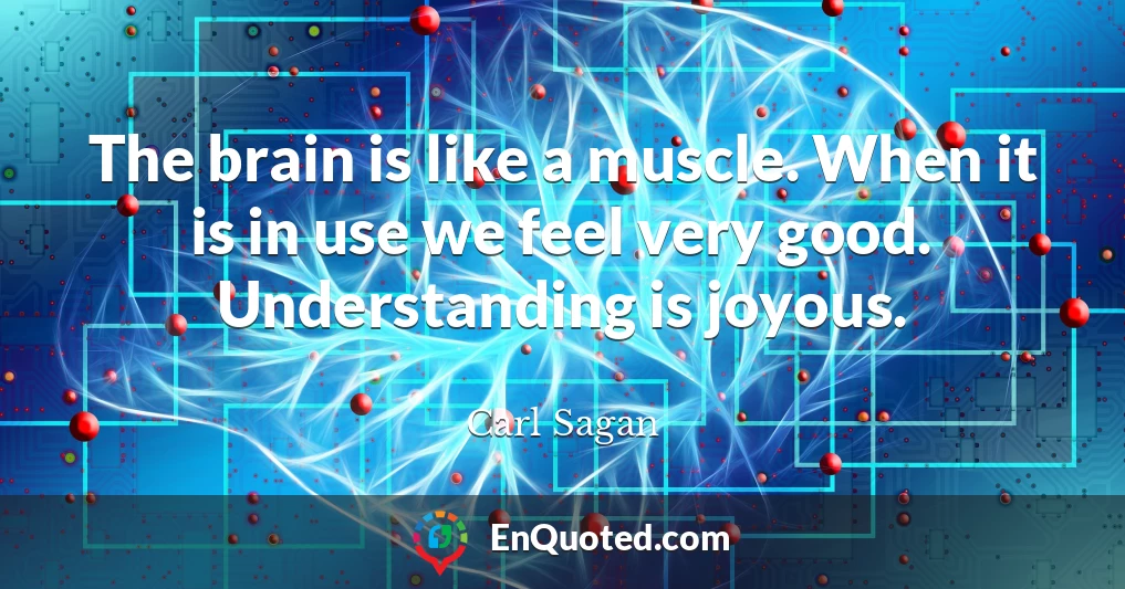 The brain is like a muscle. When it is in use we feel very good. Understanding is joyous.