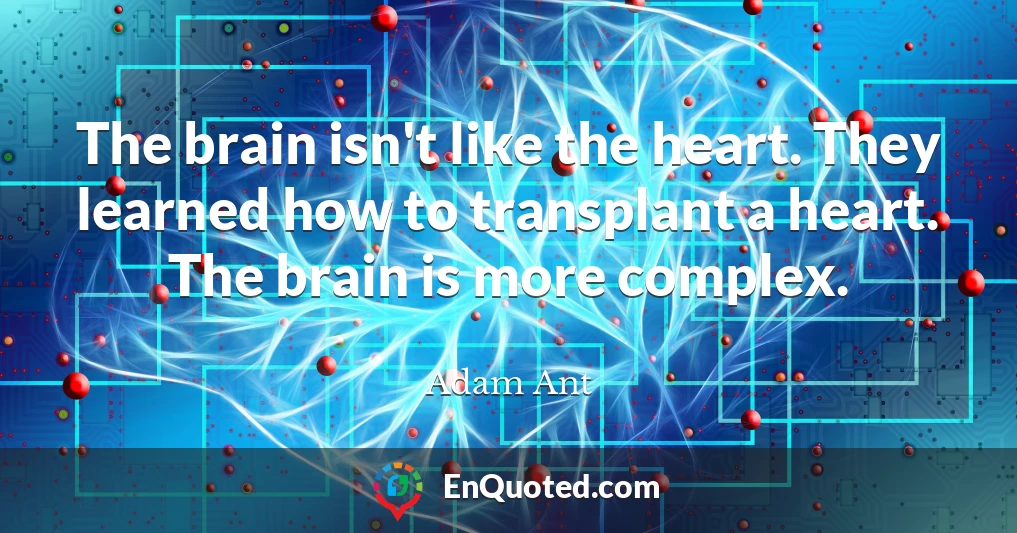 The brain isn't like the heart. They learned how to transplant a heart. The brain is more complex.