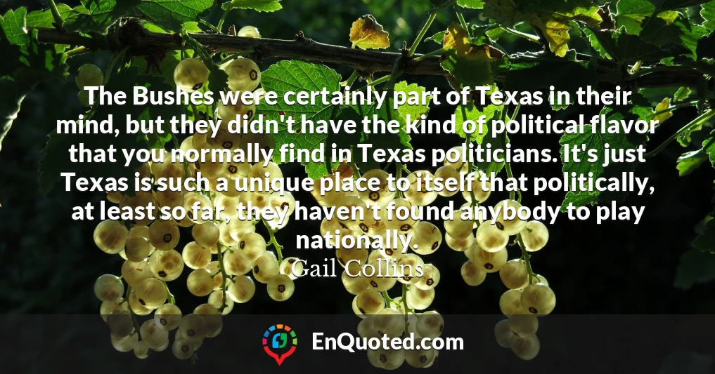 The Bushes were certainly part of Texas in their mind, but they didn't have the kind of political flavor that you normally find in Texas politicians. It's just Texas is such a unique place to itself that politically, at least so far, they haven't found anybody to play nationally.