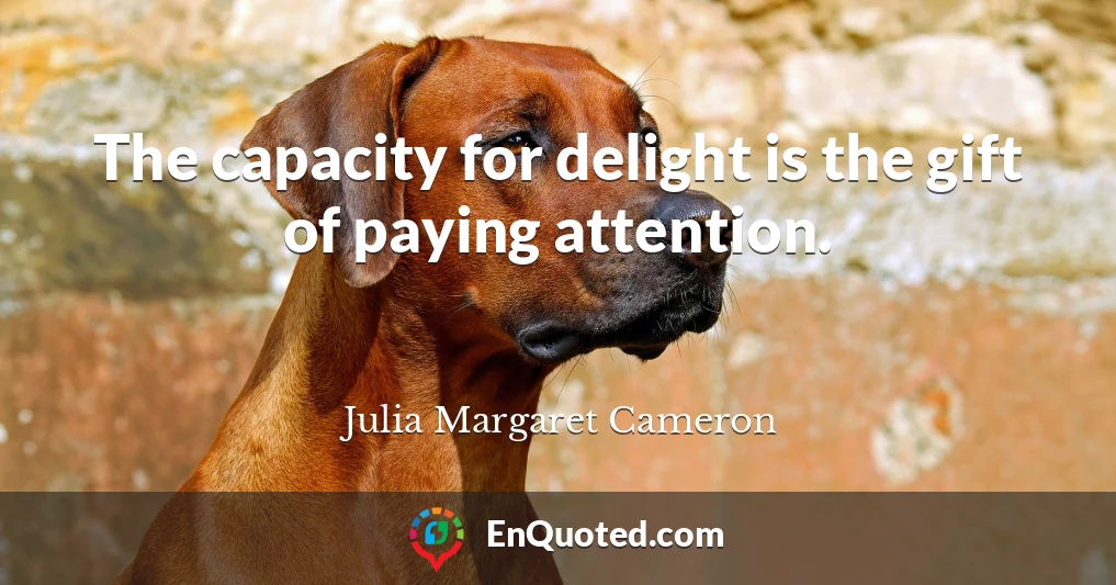 The capacity for delight is the gift of paying attention.