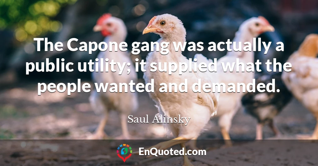 The Capone gang was actually a public utility; it supplied what the people wanted and demanded.