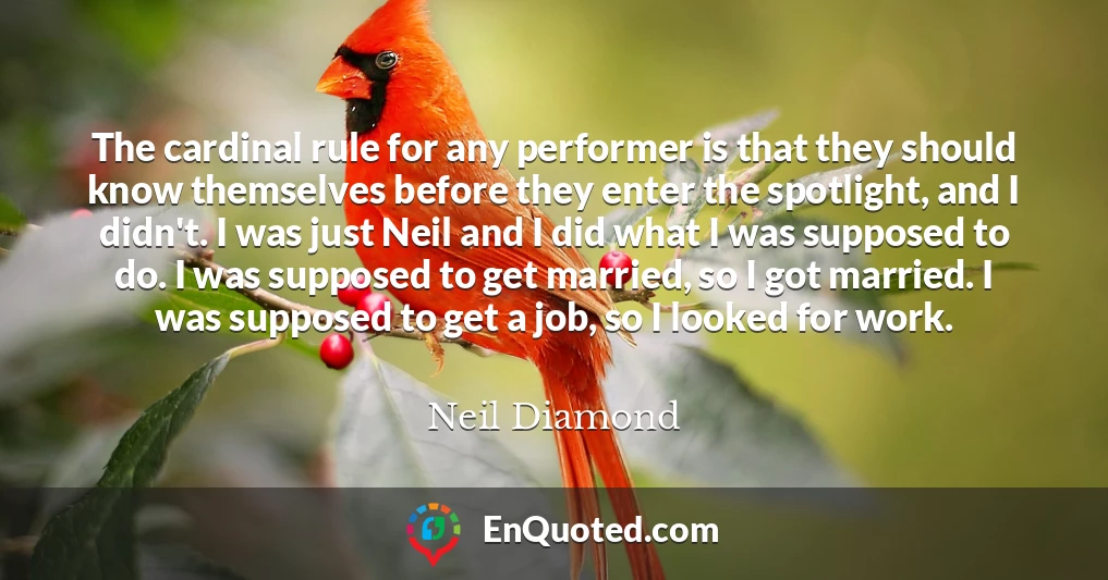 The cardinal rule for any performer is that they should know themselves before they enter the spotlight, and I didn't. I was just Neil and I did what I was supposed to do. I was supposed to get married, so I got married. I was supposed to get a job, so I looked for work.