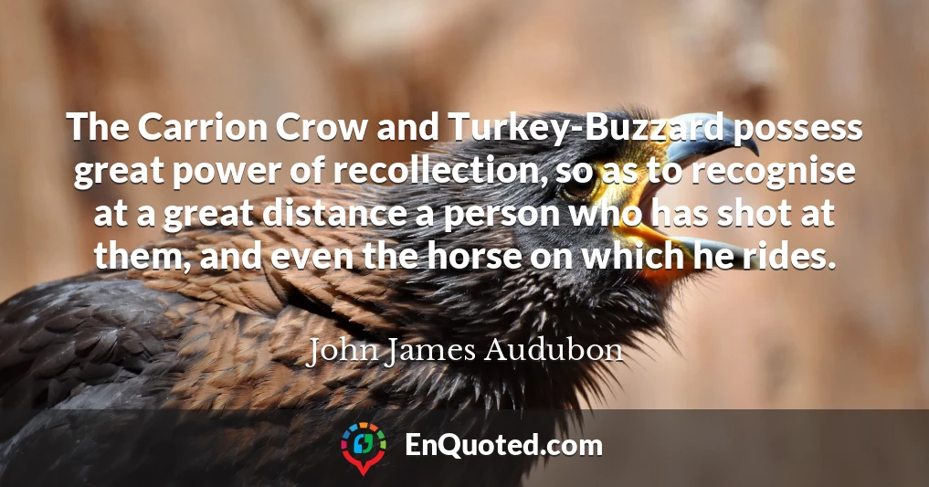 The Carrion Crow and Turkey-Buzzard possess great power of recollection, so as to recognise at a great distance a person who has shot at them, and even the horse on which he rides.