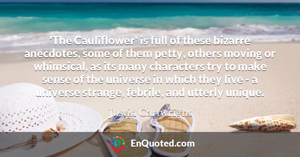 'The Cauliflower' is full of these bizarre anecdotes, some of them petty, others moving or whimsical, as its many characters try to make sense of the universe in which they live - a universe strange, febrile, and utterly unique.