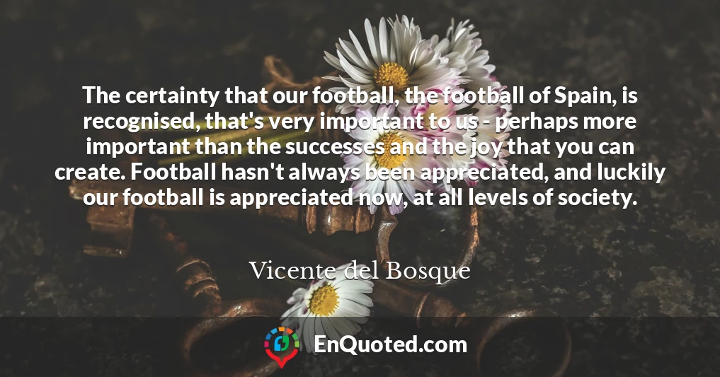 The certainty that our football, the football of Spain, is recognised, that's very important to us - perhaps more important than the successes and the joy that you can create. Football hasn't always been appreciated, and luckily our football is appreciated now, at all levels of society.