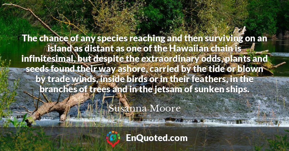The chance of any species reaching and then surviving on an island as distant as one of the Hawaiian chain is infinitesimal, but despite the extraordinary odds, plants and seeds found their way ashore, carried by the tide or blown by trade winds, inside birds or in their feathers, in the branches of trees and in the jetsam of sunken ships.