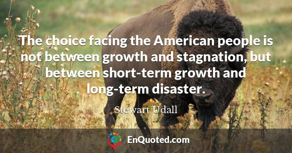 The choice facing the American people is not between growth and stagnation, but between short-term growth and long-term disaster.