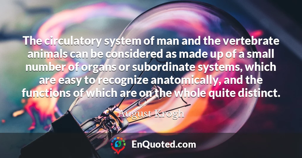 The circulatory system of man and the vertebrate animals can be considered as made up of a small number of organs or subordinate systems, which are easy to recognize anatomically, and the functions of which are on the whole quite distinct.