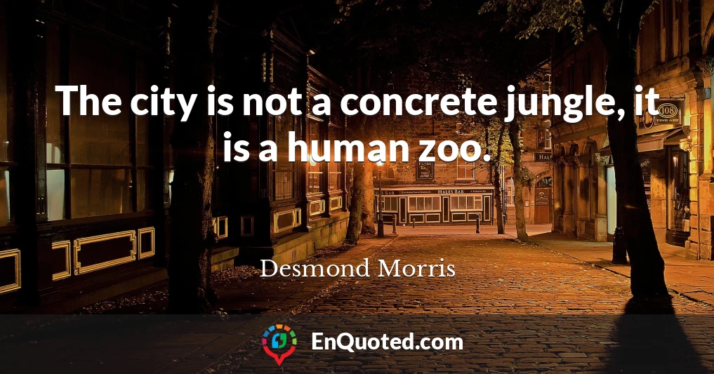 The city is not a concrete jungle, it is a human zoo.
