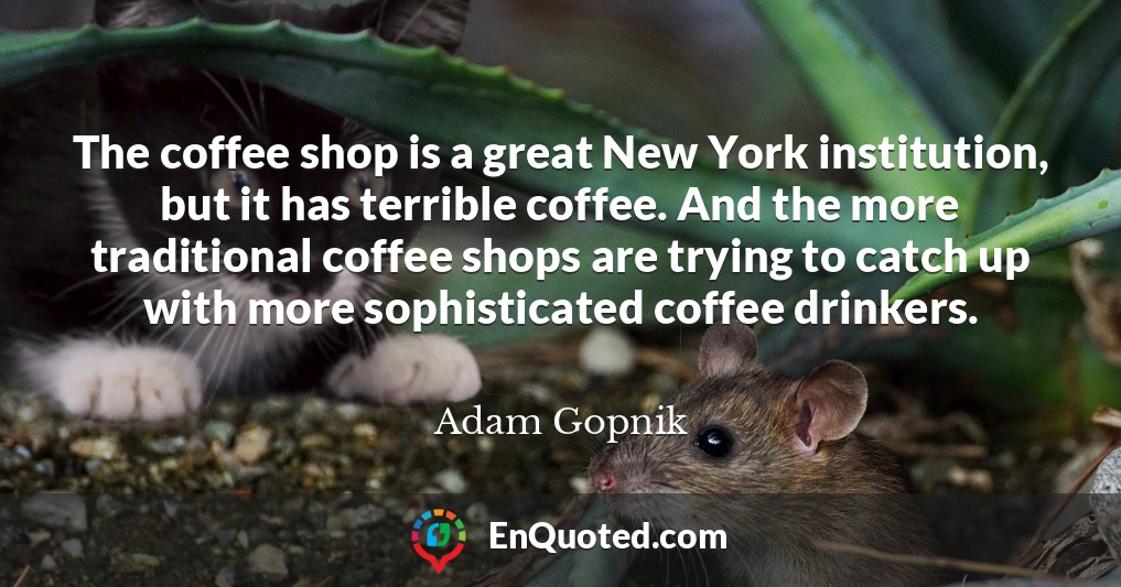 The coffee shop is a great New York institution, but it has terrible coffee. And the more traditional coffee shops are trying to catch up with more sophisticated coffee drinkers.