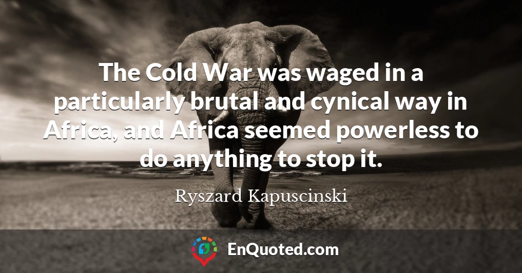 The Cold War was waged in a particularly brutal and cynical way in Africa, and Africa seemed powerless to do anything to stop it.