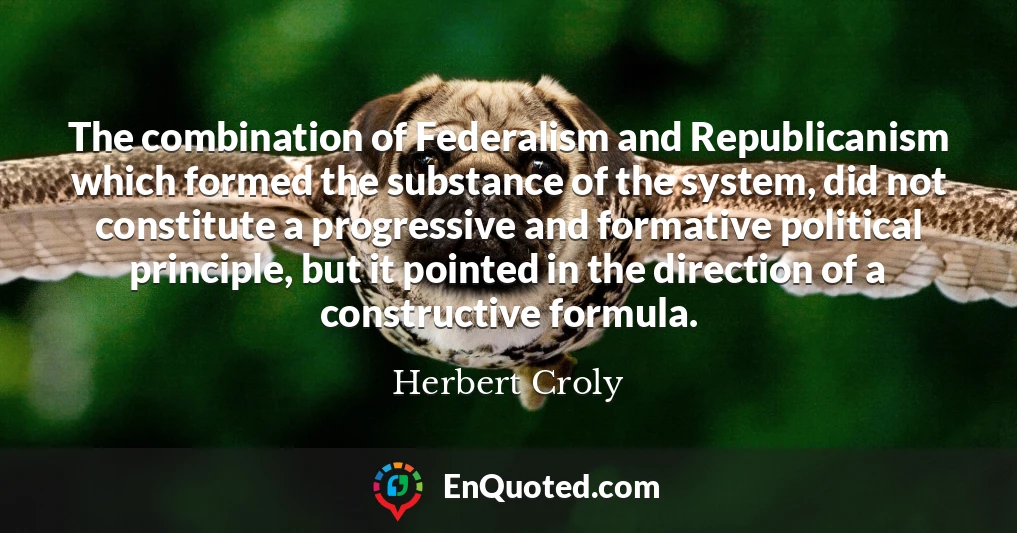 The combination of Federalism and Republicanism which formed the substance of the system, did not constitute a progressive and formative political principle, but it pointed in the direction of a constructive formula.
