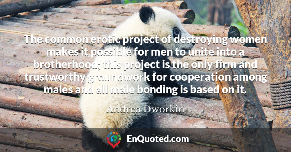 The common erotic project of destroying women makes it possible for men to unite into a brotherhood; this project is the only firm and trustworthy groundwork for cooperation among males and all male bonding is based on it.
