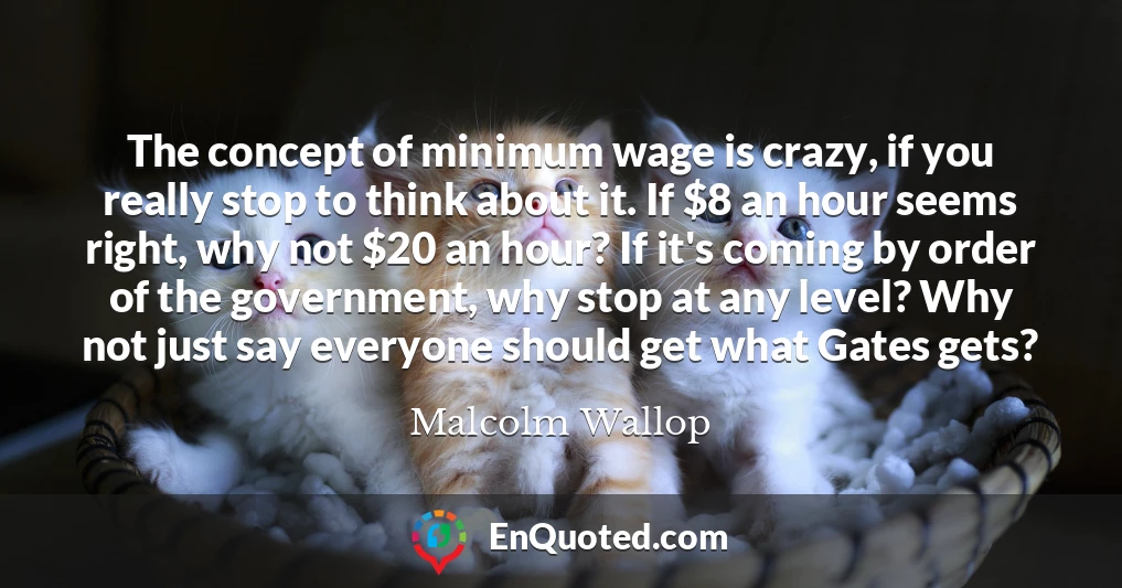The concept of minimum wage is crazy, if you really stop to think about it. If $8 an hour seems right, why not $20 an hour? If it's coming by order of the government, why stop at any level? Why not just say everyone should get what Gates gets?