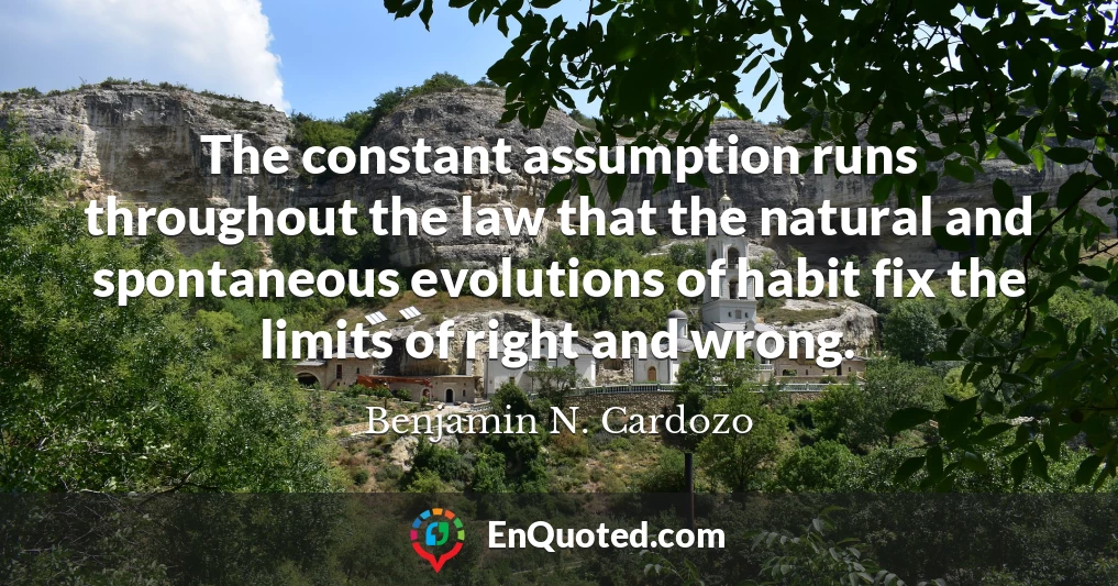The constant assumption runs throughout the law that the natural and spontaneous evolutions of habit fix the limits of right and wrong.