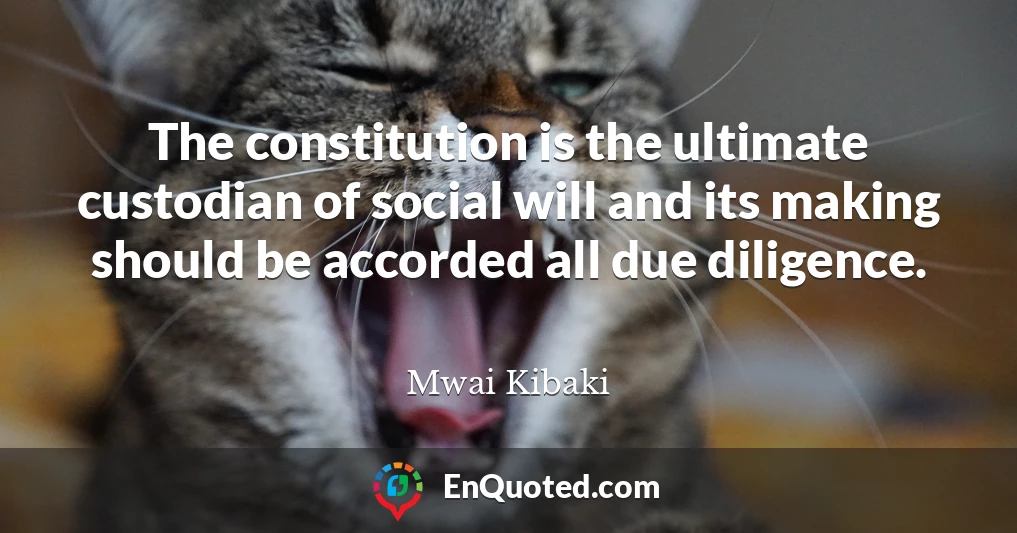 The constitution is the ultimate custodian of social will and its making should be accorded all due diligence.