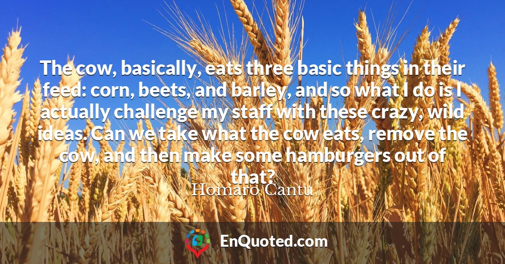 The cow, basically, eats three basic things in their feed: corn, beets, and barley, and so what I do is I actually challenge my staff with these crazy, wild ideas. Can we take what the cow eats, remove the cow, and then make some hamburgers out of that?