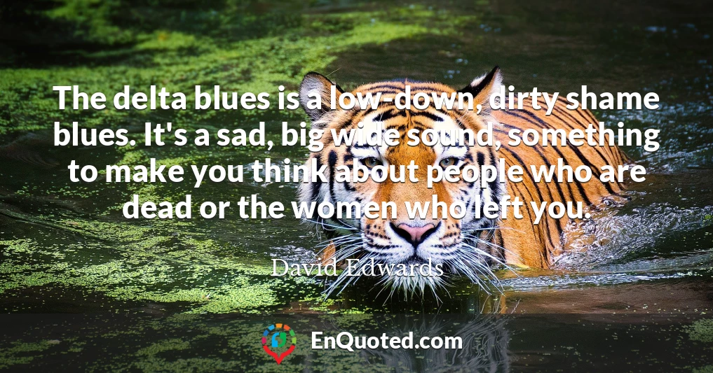 The delta blues is a low-down, dirty shame blues. It's a sad, big wide sound, something to make you think about people who are dead or the women who left you.