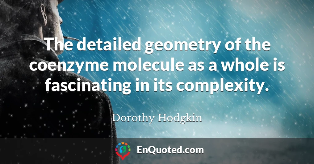 The detailed geometry of the coenzyme molecule as a whole is fascinating in its complexity.