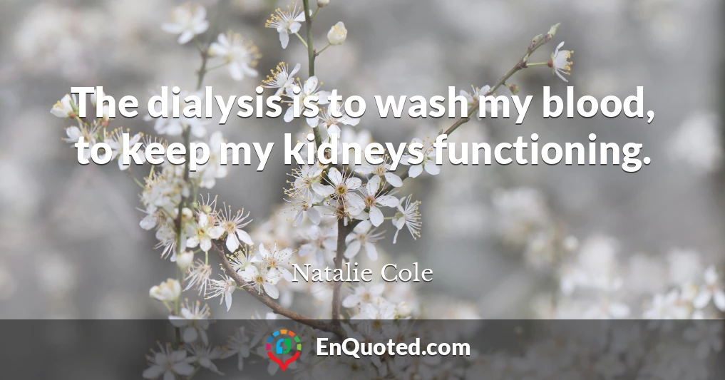 The dialysis is to wash my blood, to keep my kidneys functioning.