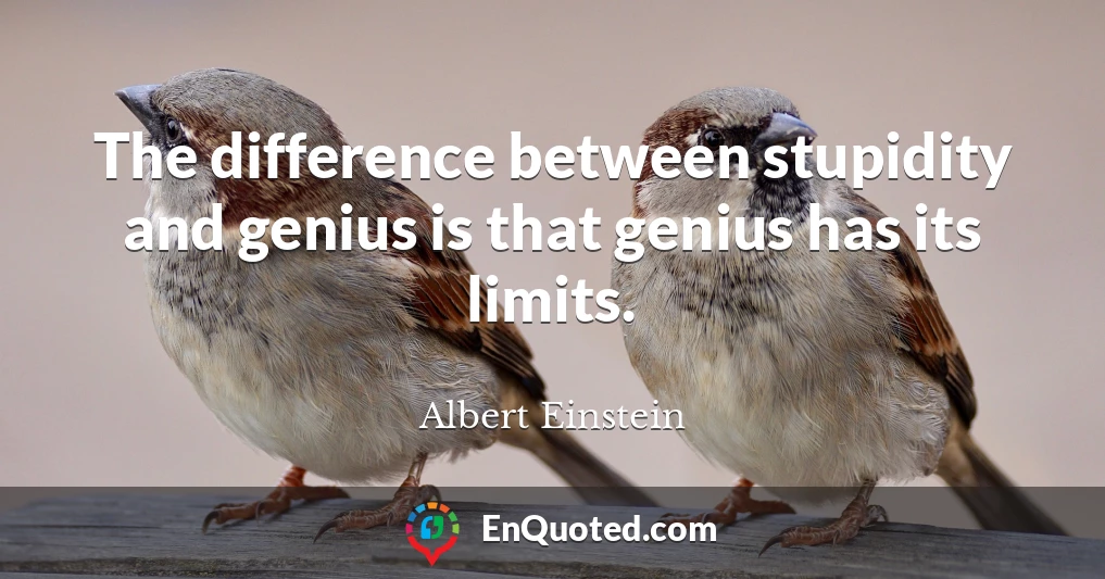 The difference between stupidity and genius is that genius has its limits.