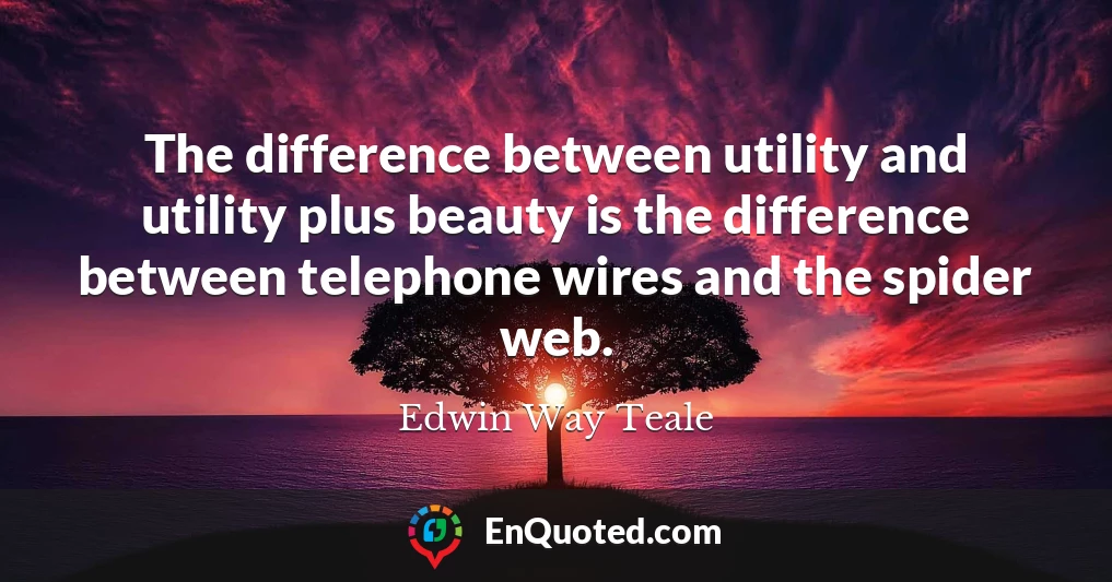 The difference between utility and utility plus beauty is the difference between telephone wires and the spider web.