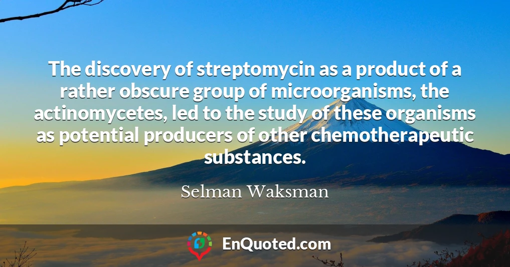 The discovery of streptomycin as a product of a rather obscure group of microorganisms, the actinomycetes, led to the study of these organisms as potential producers of other chemotherapeutic substances.