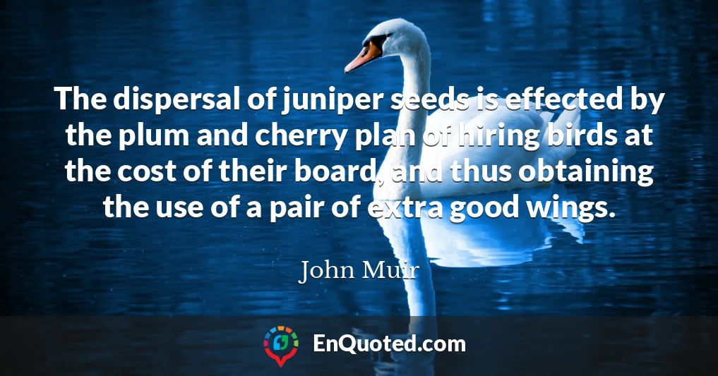The dispersal of juniper seeds is effected by the plum and cherry plan of hiring birds at the cost of their board, and thus obtaining the use of a pair of extra good wings.