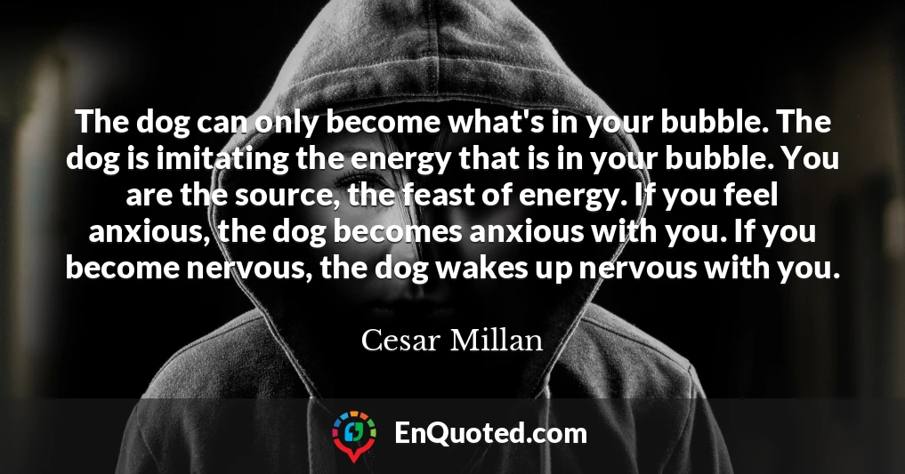 The dog can only become what's in your bubble. The dog is imitating the energy that is in your bubble. You are the source, the feast of energy. If you feel anxious, the dog becomes anxious with you. If you become nervous, the dog wakes up nervous with you.