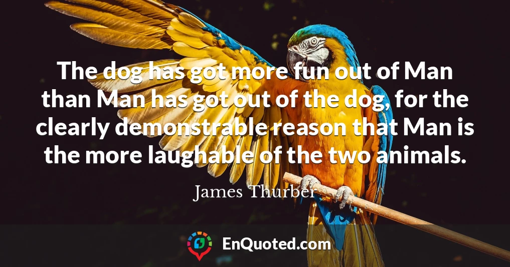 The dog has got more fun out of Man than Man has got out of the dog, for the clearly demonstrable reason that Man is the more laughable of the two animals.