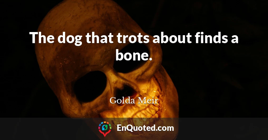 The dog that trots about finds a bone.