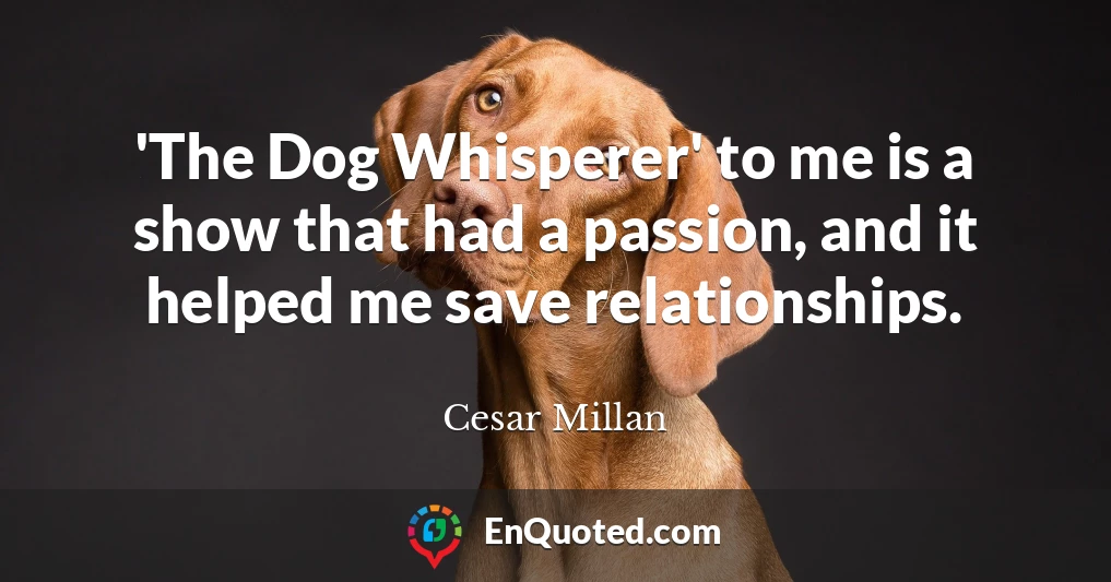 'The Dog Whisperer' to me is a show that had a passion, and it helped me save relationships.