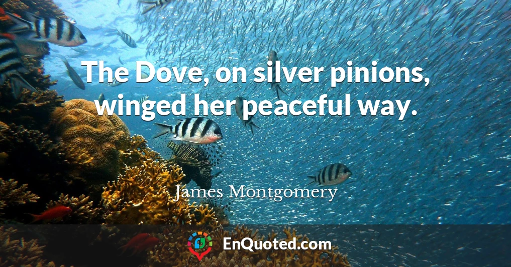 The Dove, on silver pinions, winged her peaceful way.