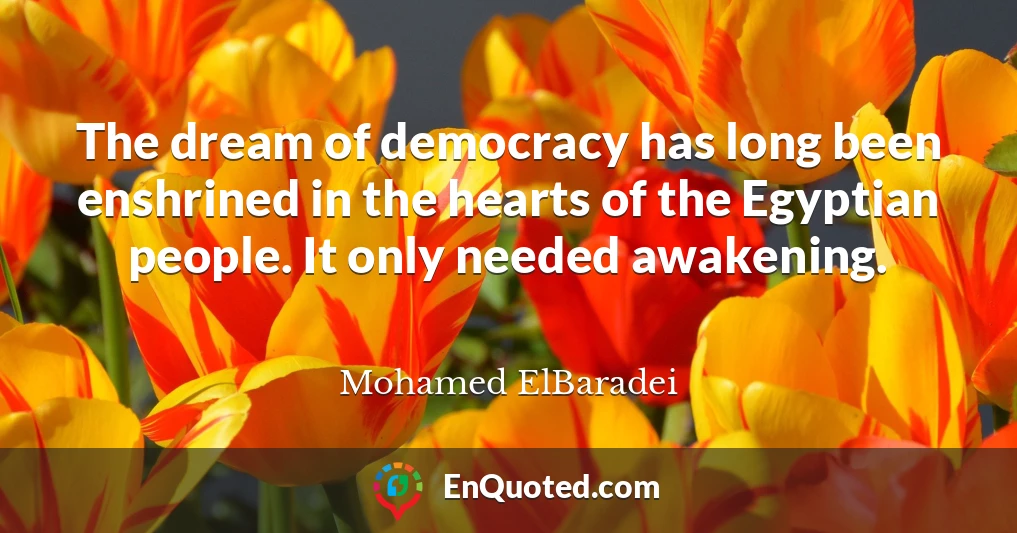 The dream of democracy has long been enshrined in the hearts of the Egyptian people. It only needed awakening.