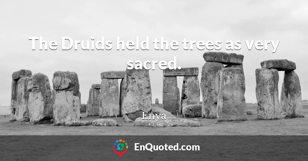 The Druids held the trees as very sacred.