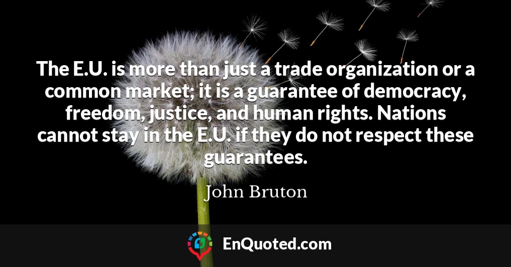 The E.U. is more than just a trade organization or a common market; it is a guarantee of democracy, freedom, justice, and human rights. Nations cannot stay in the E.U. if they do not respect these guarantees.