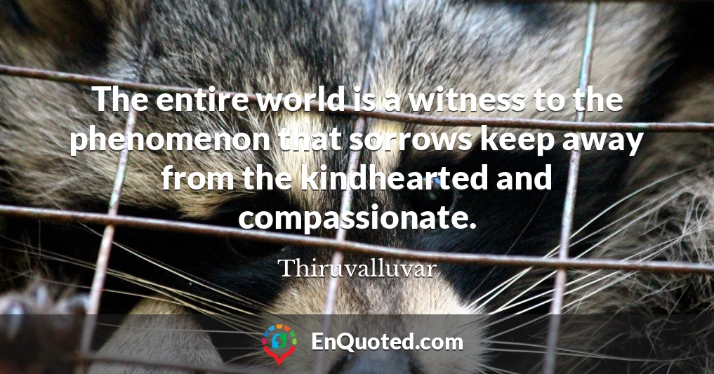 The entire world is a witness to the phenomenon that sorrows keep away from the kindhearted and compassionate.