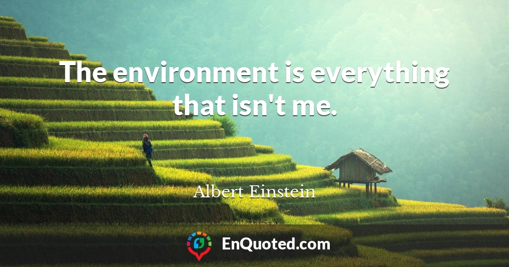 The environment is everything that isn't me.