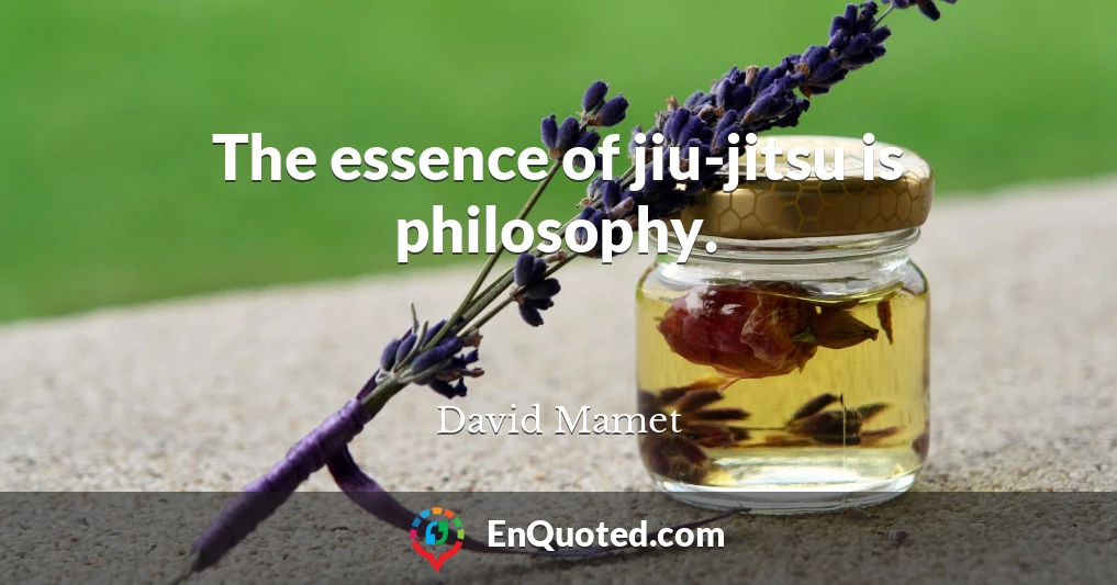 The essence of jiu-jitsu is philosophy.