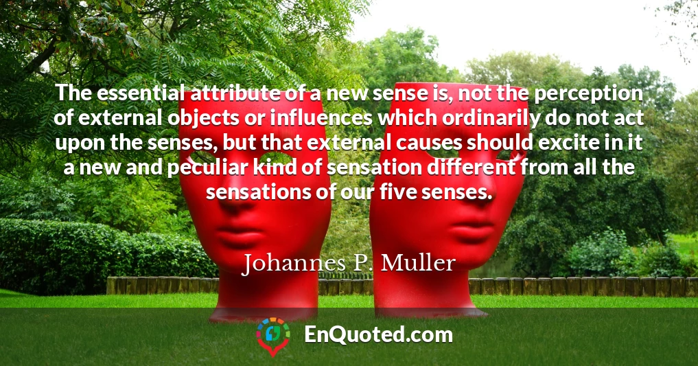 The essential attribute of a new sense is, not the perception of external objects or influences which ordinarily do not act upon the senses, but that external causes should excite in it a new and peculiar kind of sensation different from all the sensations of our five senses.