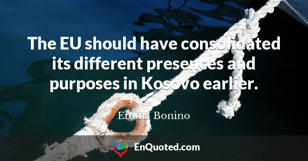 The EU should have consolidated its different presences and purposes in Kosovo earlier.